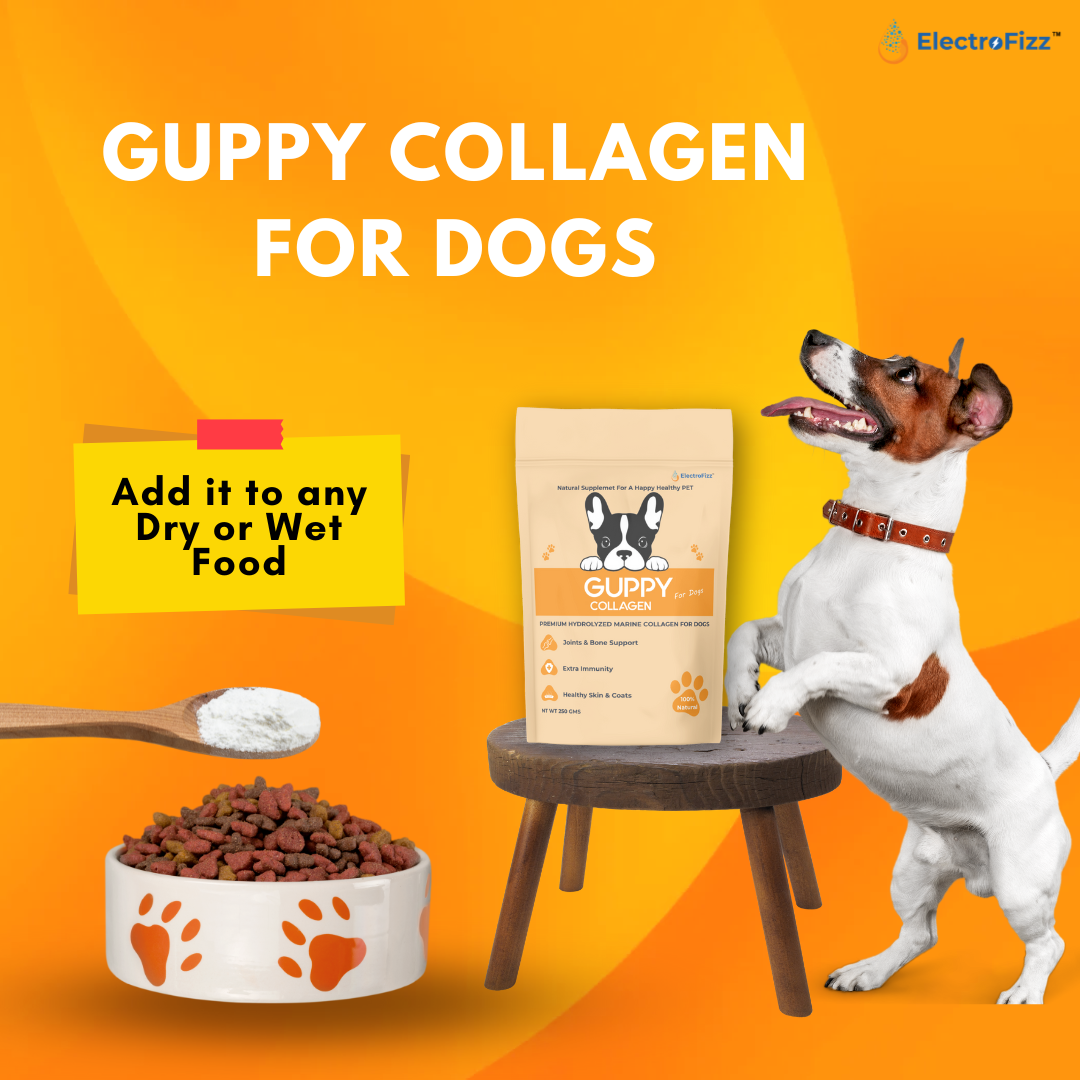 Hydrolysed Marine Collagen Powder for Dogs for Bone and Joint Health, Osteoarthritis, Healthy Coat and Skin Health, Digestive System Non GMO, Gluten Free, Soy Free- 250 Gms