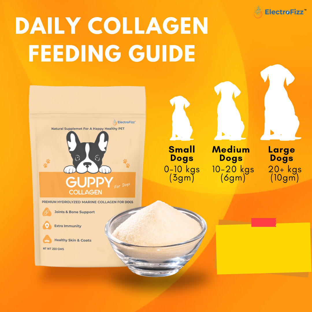 Hydrolysed Marine Collagen Powder for Dogs for Bone and Joint Health, Osteoarthritis, Healthy Coat and Skin Health, Digestive System Non GMO, Gluten Free, Soy Free- 250 Gms