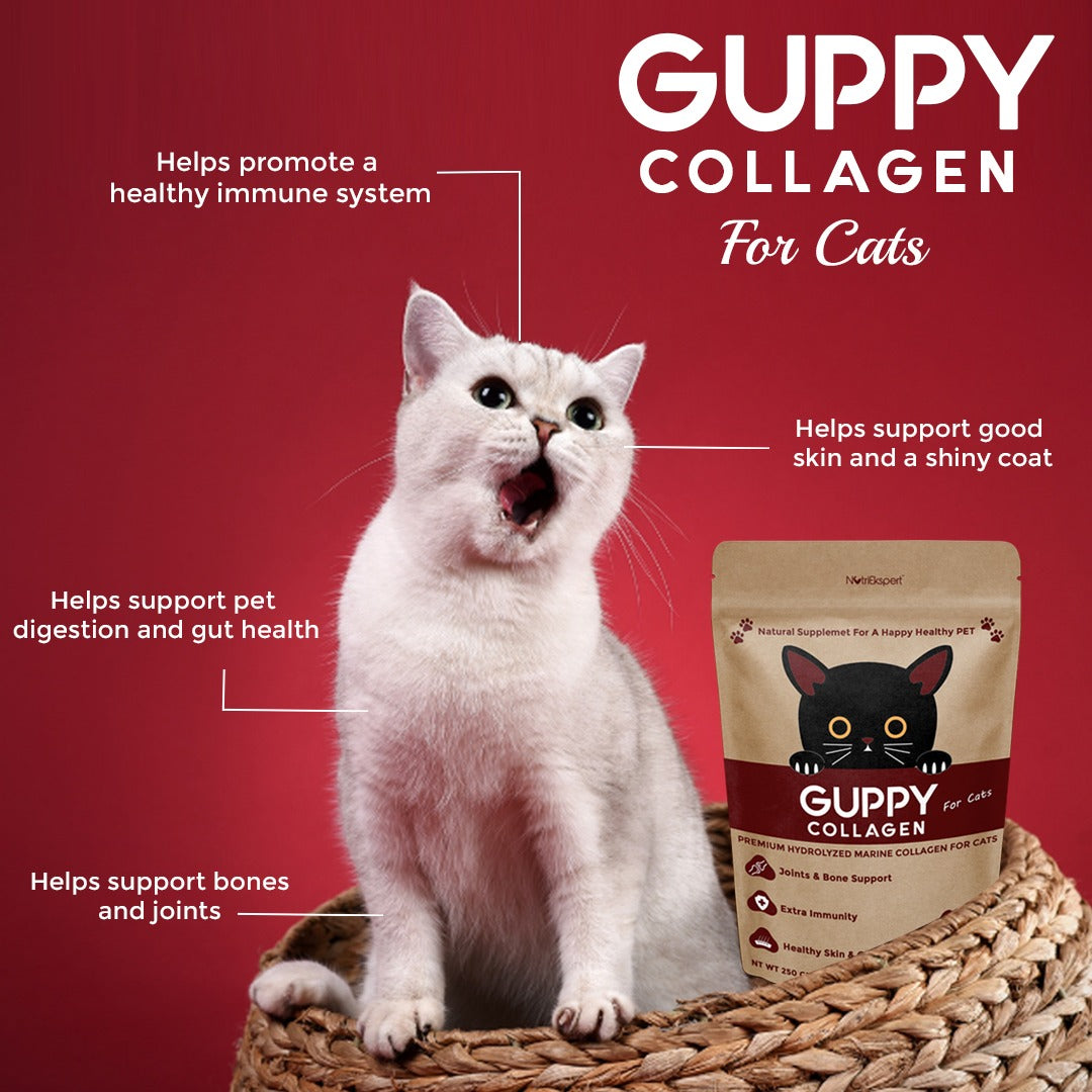 Hydrolysed Marine Collagen Powder for Cats for Bone and Joint Health, Osteoarthritis, Healthy Coat and Skin Health, Digestive System Non GMO, Gluten Free, Soy Free- 250 GMS