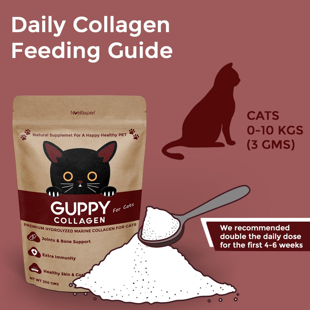 Hydrolysed Marine Collagen Powder for Cats for Bone and Joint Health, Osteoarthritis, Healthy Coat and Skin Health, Digestive System Non GMO, Gluten Free, Soy Free- 250 GMS