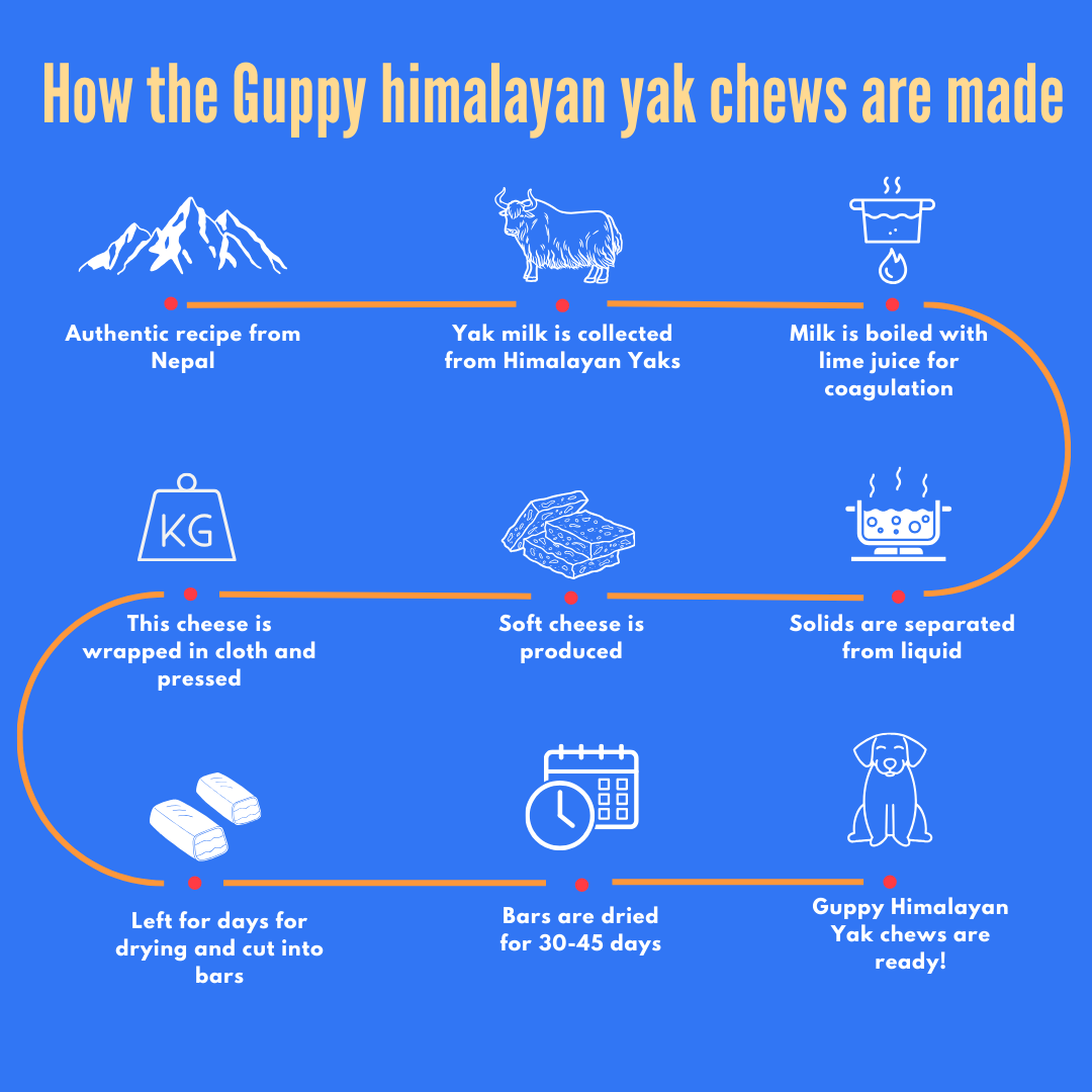 Guppy Himalayan Yak Cheese Dog Chews, 100% Natural, Long Lasting, Gluten Free, Healthy & Safe Dog Treats, Lactose & Grain Free, Protein Rich- for Puppies and Small Dogs- Pack of 2