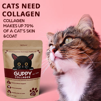 Hydrolysed Marine Collagen Powder for Cats for Bone and Joint Health, Osteoarthritis, Healthy Coat and Skin Health, Digestive System Non GMO, Gluten Free, Soy Free- 250 GMS