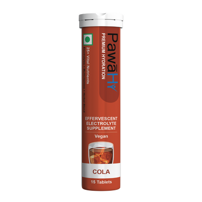 PawaHy Electrolyte Energy Reload Instant Hydration - Orange, Pack of 2 (30 Tablets)