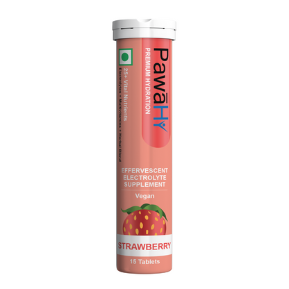 PawaHy Electrolyte Energy Reload Instant Hydration - Orange, Pack of 2 (30 Tablets)