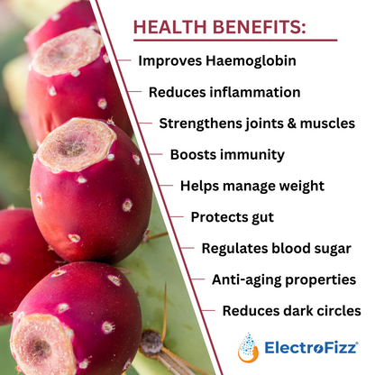 prickly pear cactus tea benefits ElectroFizz Freeze Dried 100% Natural Prickly Pear Fruit Powder, Hemog – MenekiAbsolute